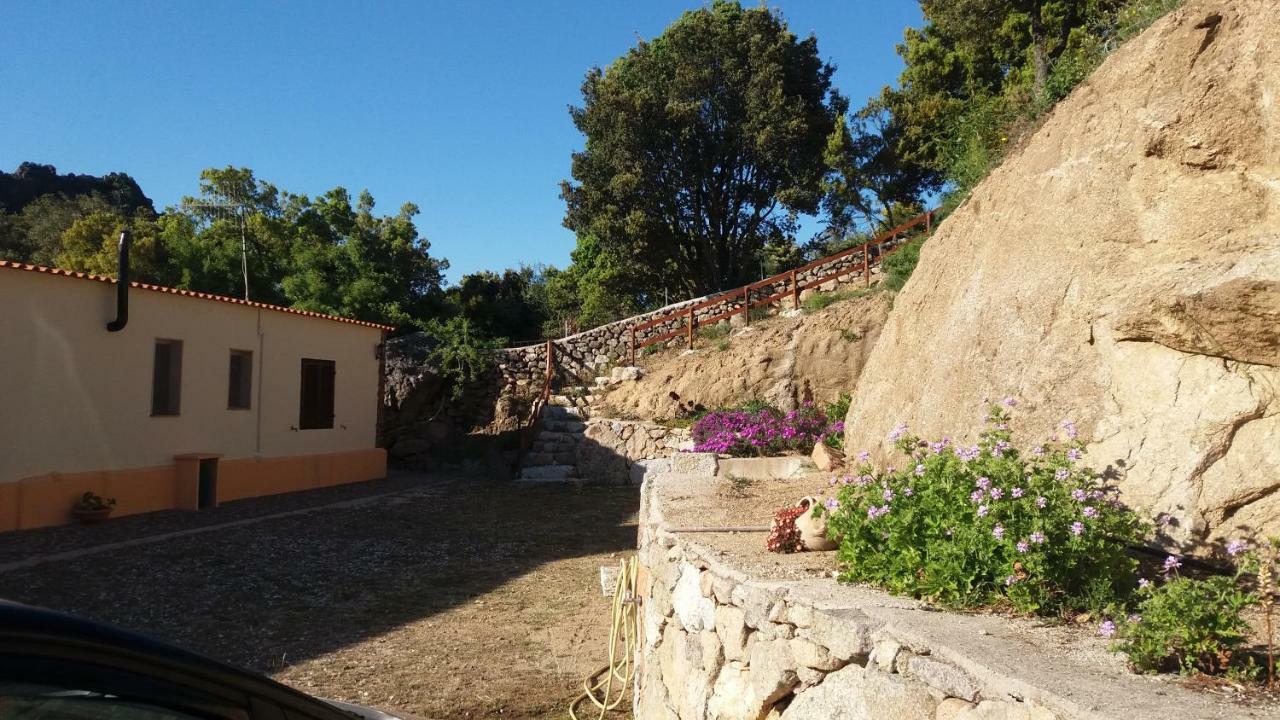 Casa Lucia Campagna Relax Guest House Dorgali Bagian luar foto