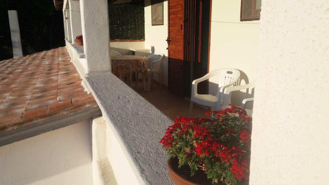Casa Lucia Campagna Relax Guest House Dorgali Bagian luar foto