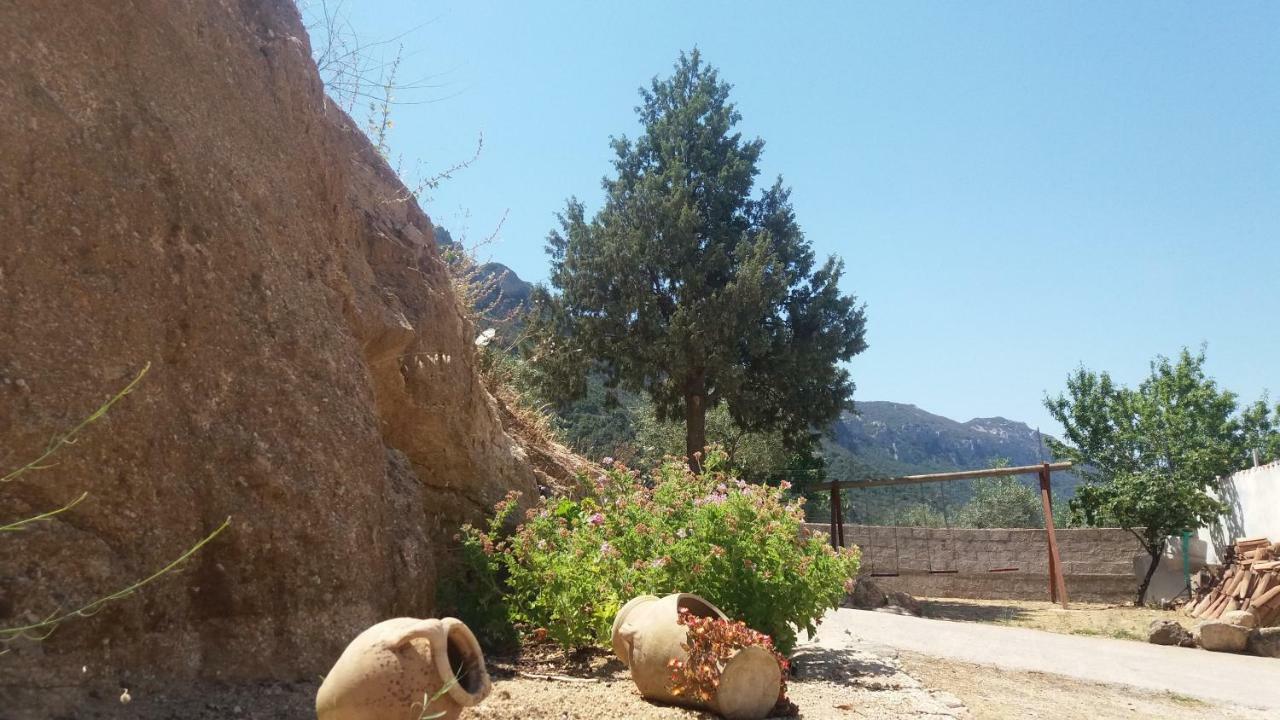 Casa Lucia Campagna Relax Guest House Dorgali Bagian luar foto