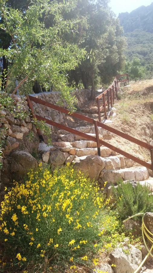 Casa Lucia Campagna Relax Guest House Dorgali Bagian luar foto