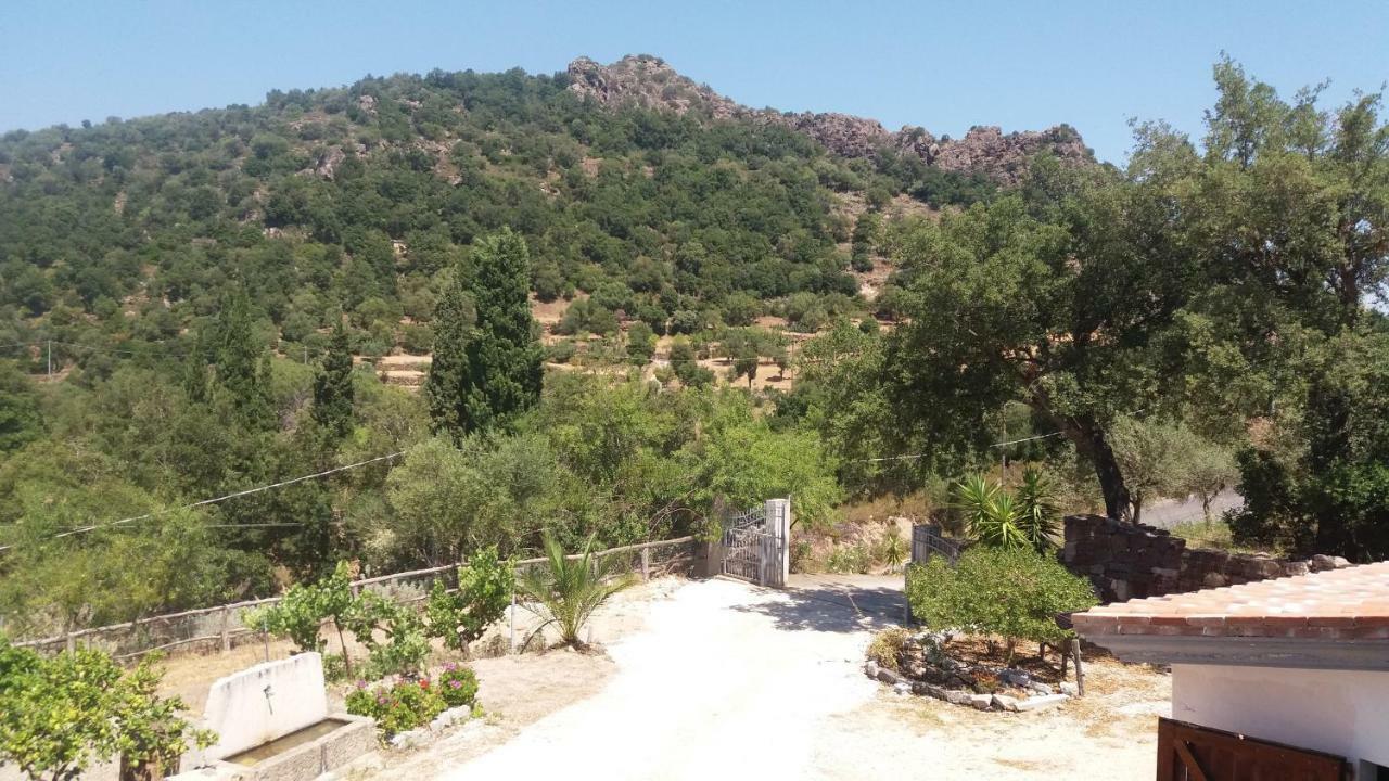 Casa Lucia Campagna Relax Guest House Dorgali Bagian luar foto